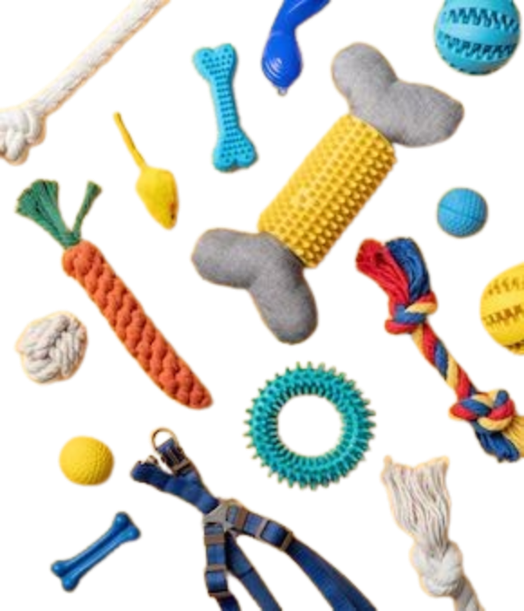 Pet Accessories